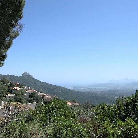 Montecolcau Panoramic View Lägenhet Baunei Exteriör bild