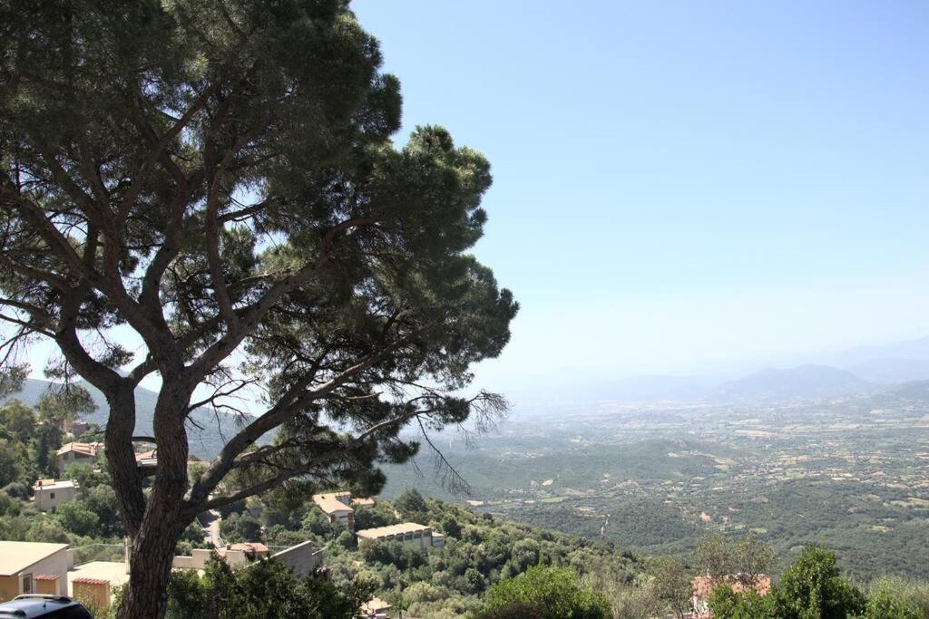 Montecolcau Panoramic View Lägenhet Baunei Exteriör bild